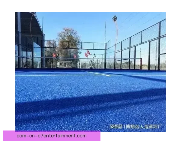 2026世界杯洛杉矶赛区SoFi体育场草坪全面更换完成 2026世界杯洛杉矶赛区SoFi体育场草坪全面更换完成