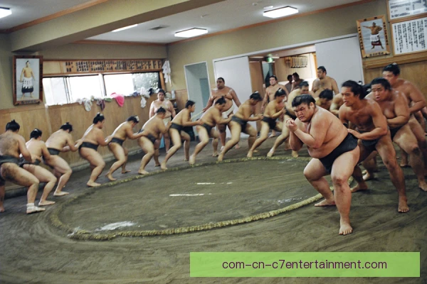 相扑降服逃脱技巧，如何在被动局面中寻得生机